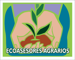 Ecoasesores formación