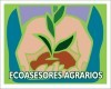 Ecoasesores